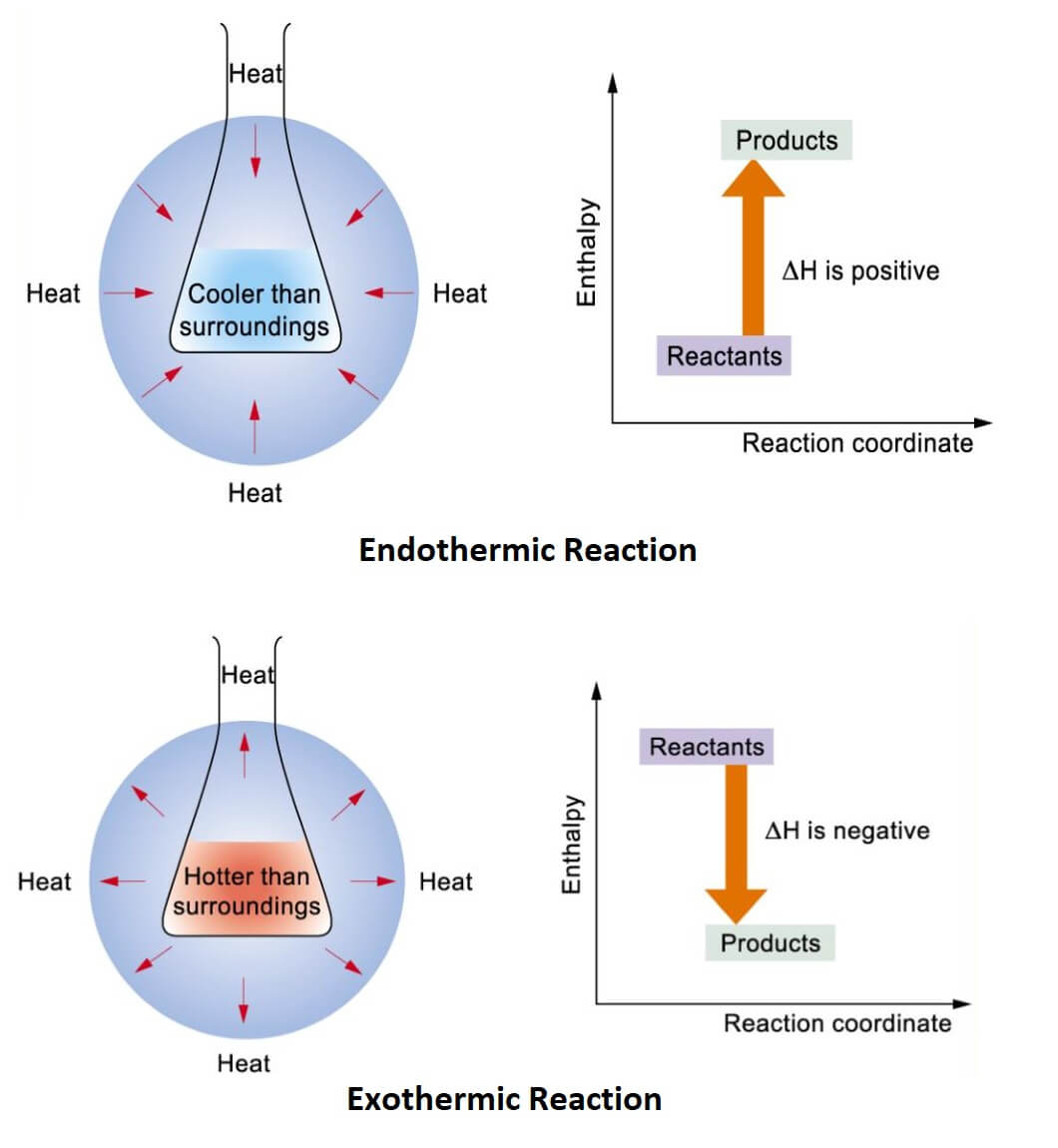 Endothermic Reaction vs Exothermic Reaction